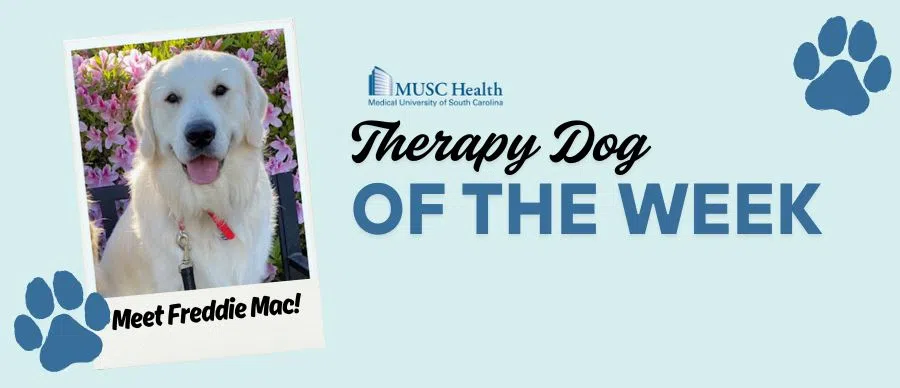 Feature: https://www.z93jamz.com/musc-therapy-dog-of-the-week/