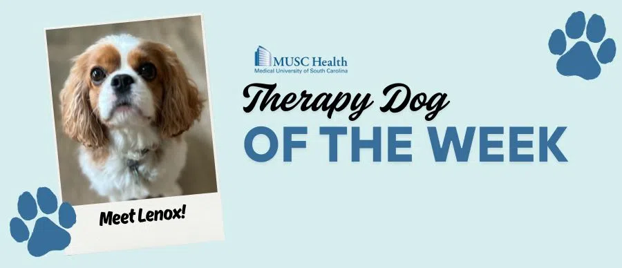 Feature: https://www.z93jamz.com/musc-therapy-dog-of-the-week/