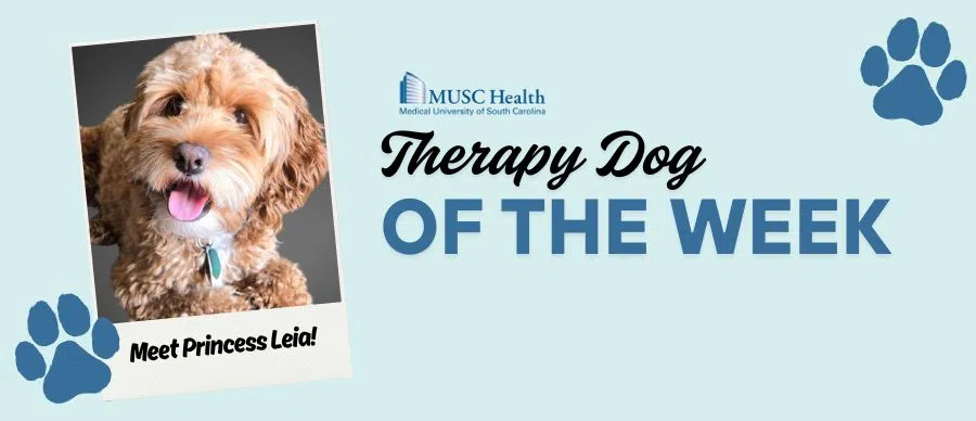 Feature: https://www.z93jamz.com/musc-therapy-dog-of-the-week/