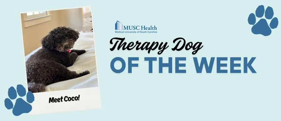 Feature: https://www.z93jamz.com/musc-therapy-dog-of-the-week/