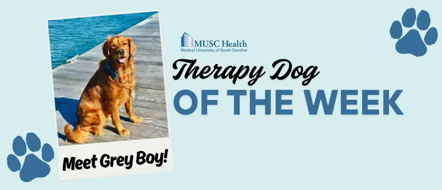 Feature: https://www.z93jamz.com/musc-therapy-dog-of-the-week/