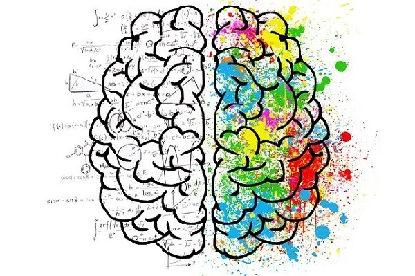 brain illustration