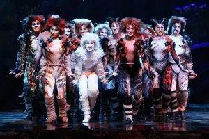 Cats