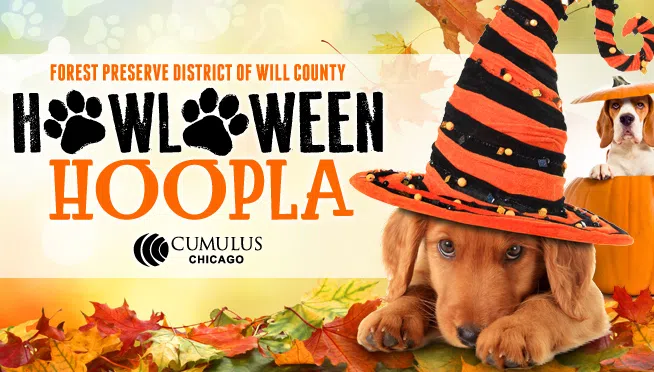 HalloweenHoopla_654x372