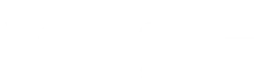 The Vince Show