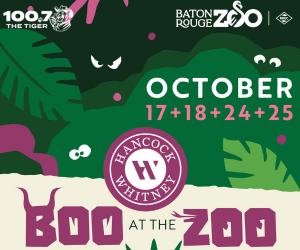 Tiger_Boo_300x250