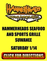 hammerheads-link