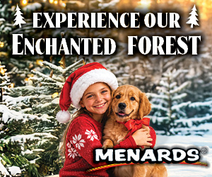 Enchanted Forest_Billboard _250x300