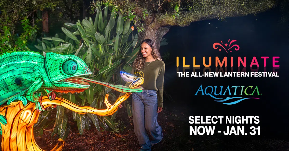Feature: https://aquatica.com/orlando/events/illuminate/?utm_source=radio&utm_medium=digital&utm_campaign=illuminate25