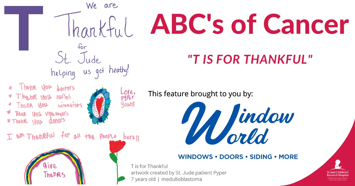 Feature: https://www.windowworldpolkcounty.com/