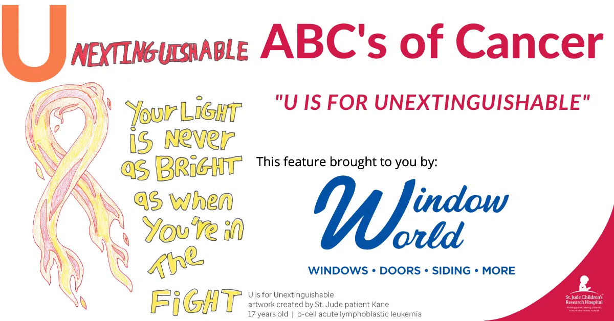 Feature: https://www.windowworldpolkcounty.com/