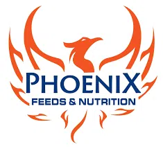 Phoenix Feeds