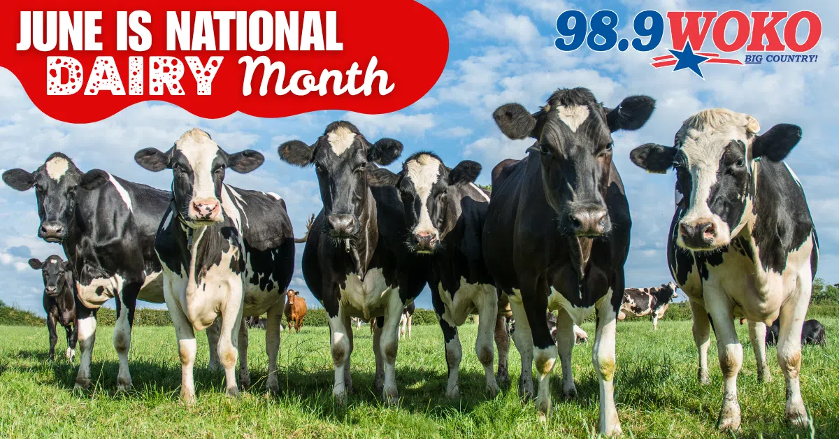 Feature: https://www.woko.com/national-dairy-month/