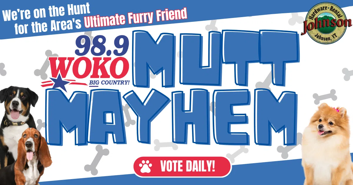 Feature: https://www.woko.com/2025/05/01/mutt-mayhem-2/