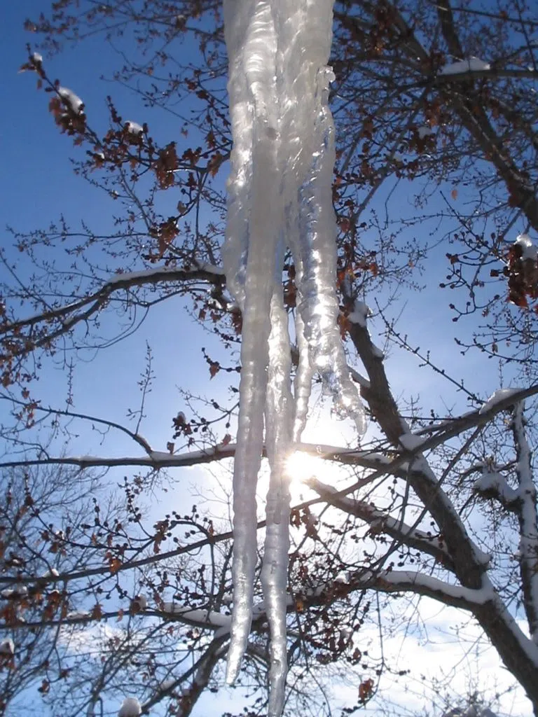 Icicle melting. Image via Wikimedia Commons.