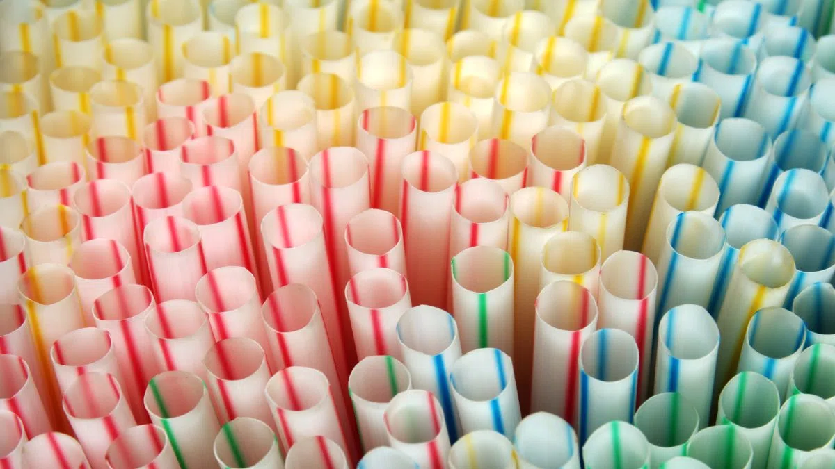 Canadians won't get plastic straws back after court upholds Ottawa ban