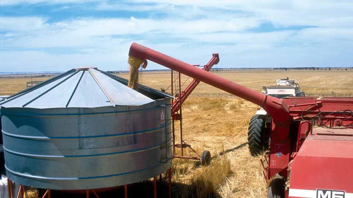 Water outlook improves as renewed China partnership boosts agricultural optimism