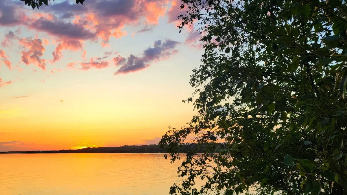 Canada's boreal forest shifting north, boosting carbon storage potential