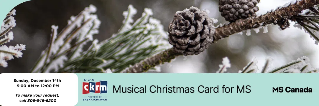 Feature: https://mssp.donordrive.com/events/1377