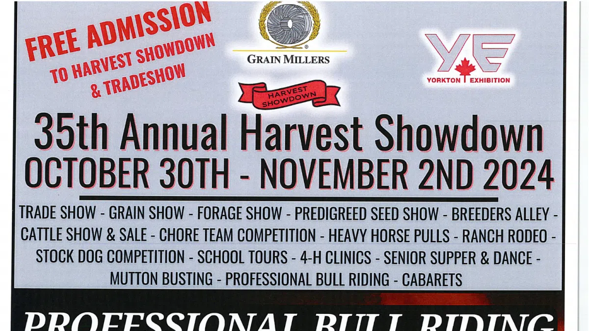 It’s Bull Riding Time! | GX94 Radio - Now That's Country! | Harvard Media