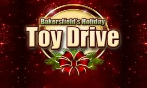 AGM_ToyDrive_2015