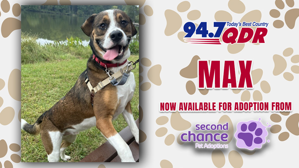 Feature: https://www.947qdr.com/2026/10/22/furs-day-meet-max-from-second-chance/