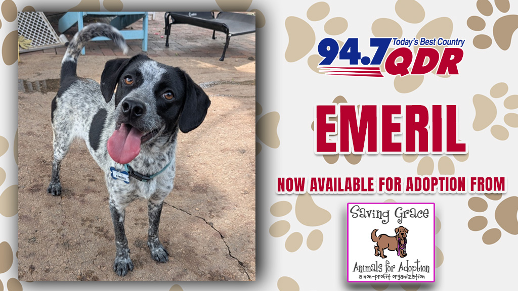 Feature: https://www.947qdr.com/2026/10/08/furs-day-meet-emeril-from-saving-grace-nc/