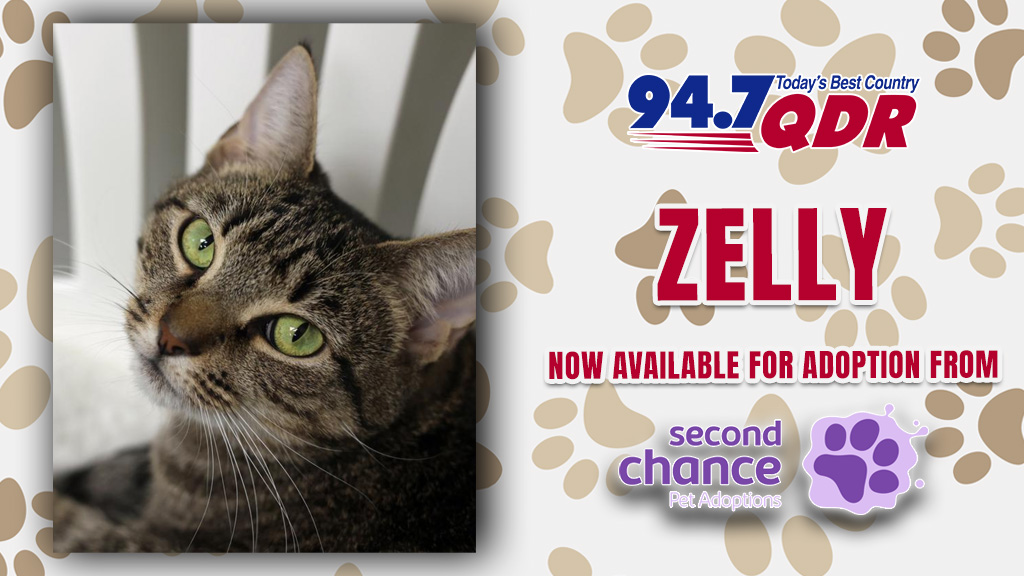 Feature: https://www.947qdr.com/2026/10/29/furs-day-meet-zelly-from-second-chance/
