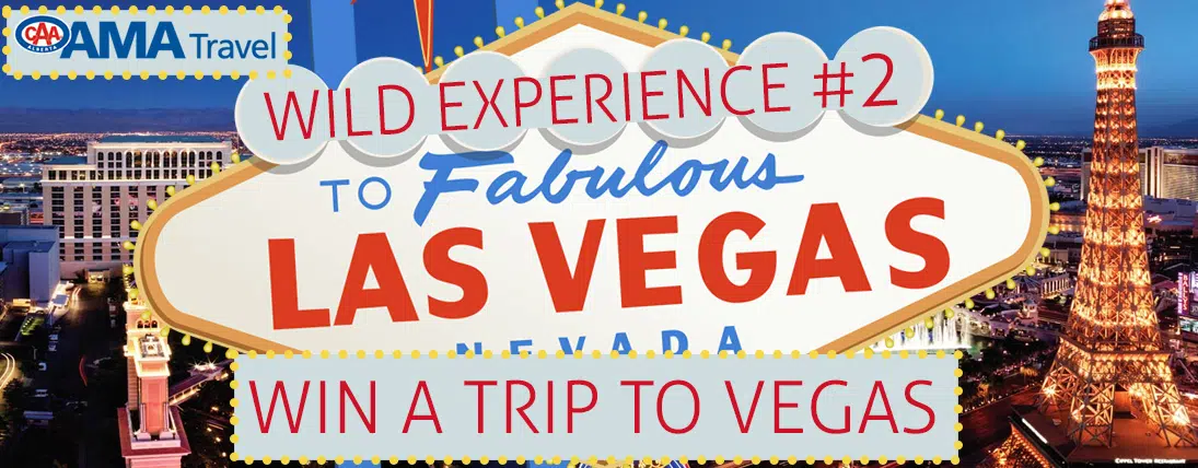 Wild Experience Vegas!