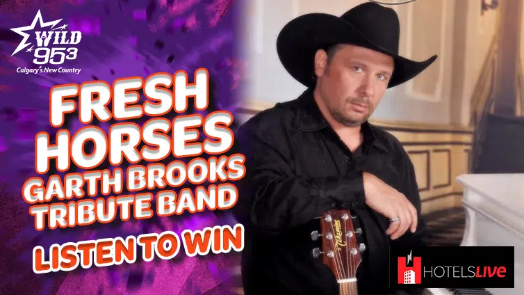 Garth Brooks Tribute Band Concert thanks to Hotels Live!
