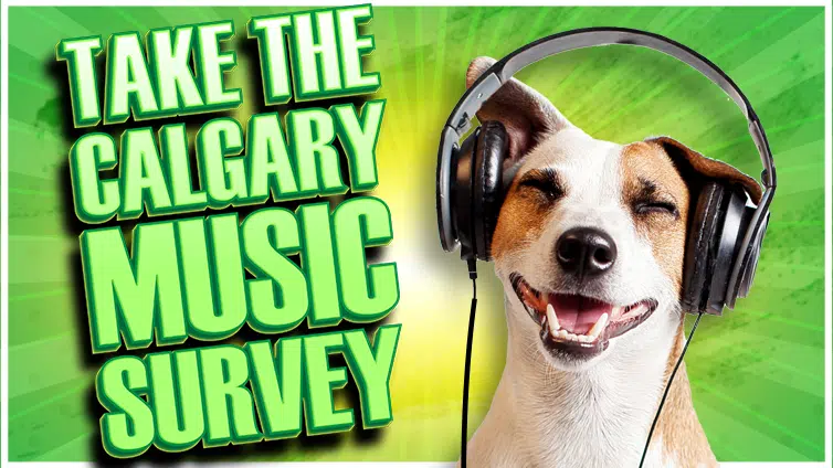 Calgary Music Survey