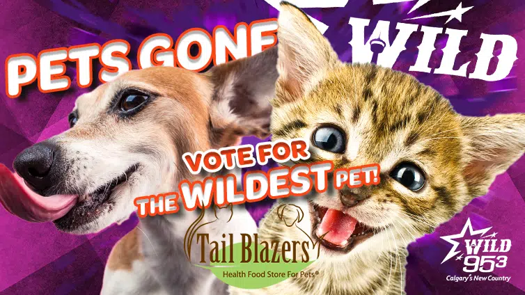 Pets Gone WILD….95.3