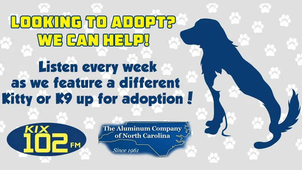 Feature: https://www.kix102fm.com/kitties-and-k9s/