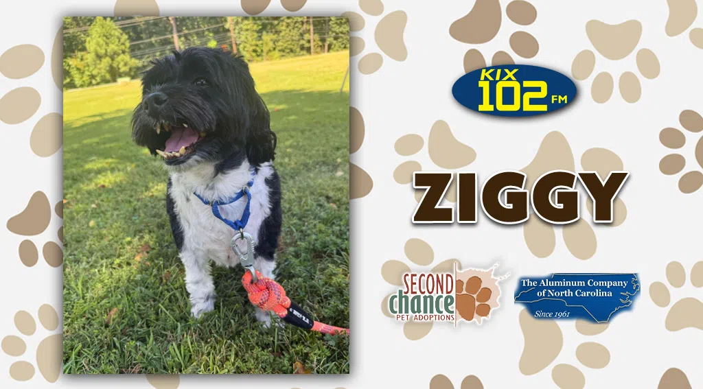 Feature: https://d3733.cms.socastsrm.com/2026/02/24/9652/