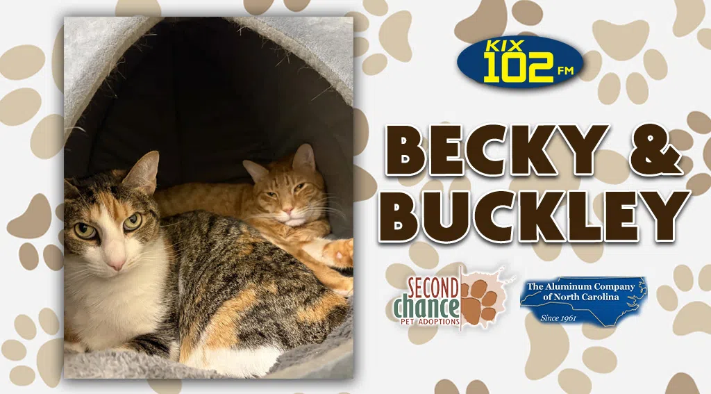 Feature: https://d3733.cms.socastsrm.com/2026/03/04/kix-kitties-and-k9s-meet-becky-buckley/