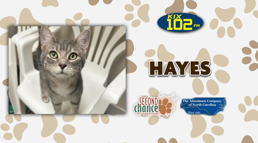 Feature: https://d3733.cms.socastsrm.com/2026/09/16/kix-kitties-and-k9s-meet-hayes/