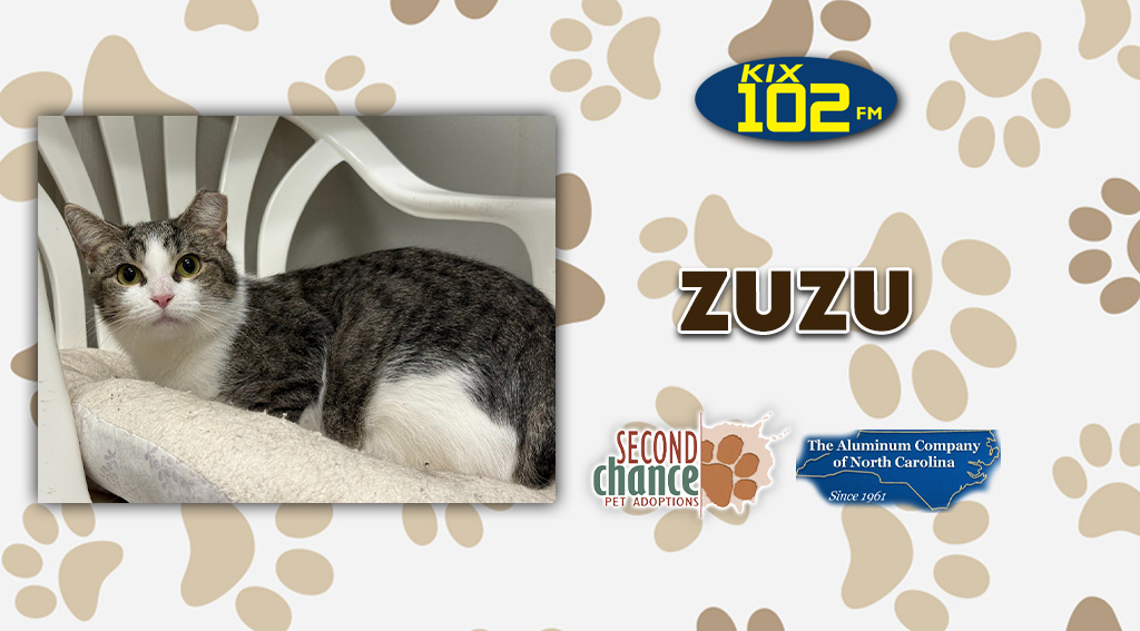 Feature: https://d3733.cms.socastsrm.com/2026/09/30/kix-kitties-and-k9s-meet-zuzu/