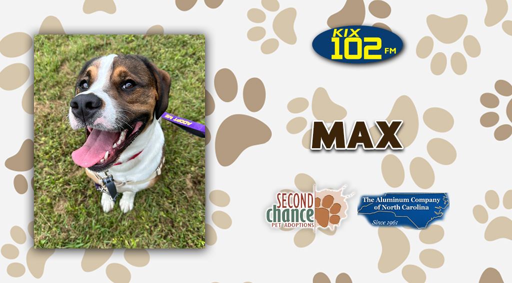 Feature: https://d3733.cms.socastsrm.com/2026/10/21/kix-kitties-and-k9s-meet-max/