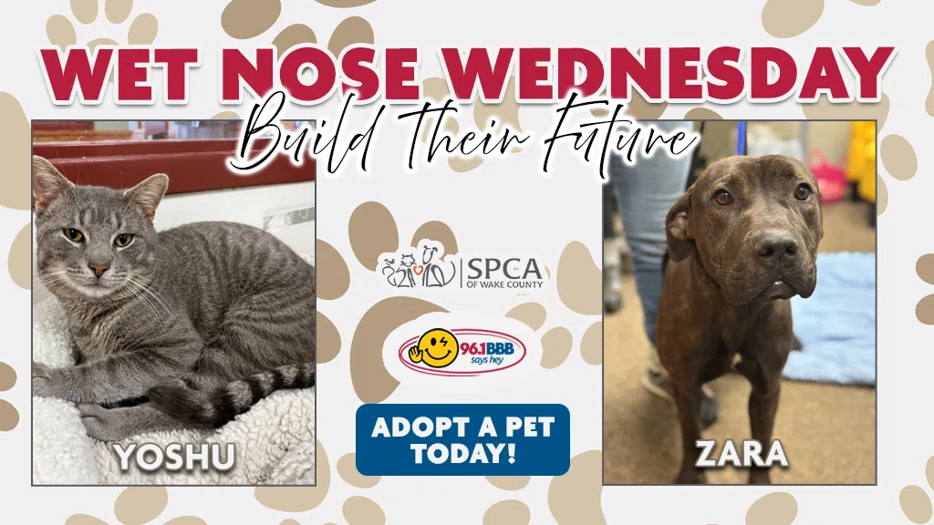 Feature: https://d3736.cms.socastsrm.com/2026/02/24/wet-nose-wednesday-meet-yoshu-and-zara/