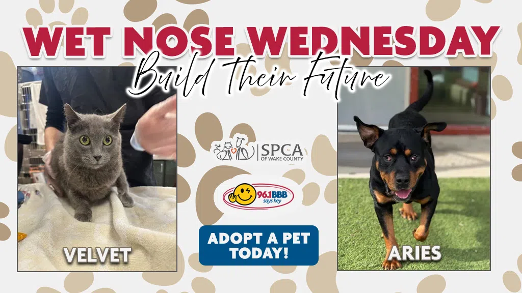 Feature: https://d3736.cms.socastsrm.com/2026/03/03/wet-nose-wednesday-meet-velvet-and-aries/