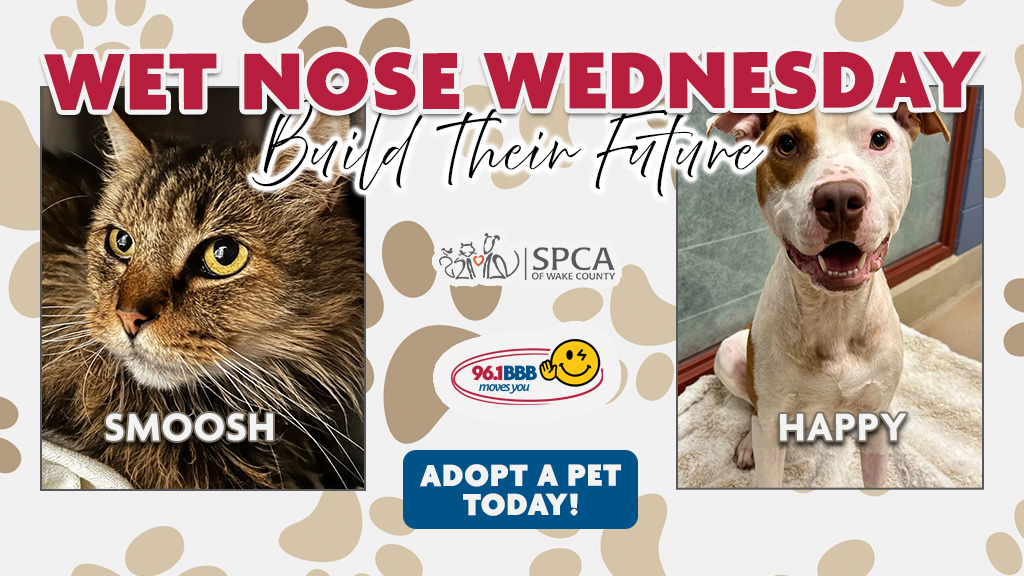 Feature: https://d3736.cms.socastsrm.com/2026/09/15/wet-nose-wednesday-smoosh-and-happy/