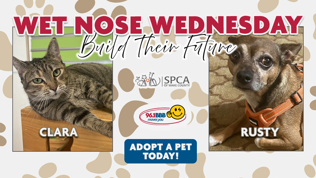 Feature: https://d3736.cms.socastsrm.com/2026/10/13/wet-nose-wednesday-clara-rusty/