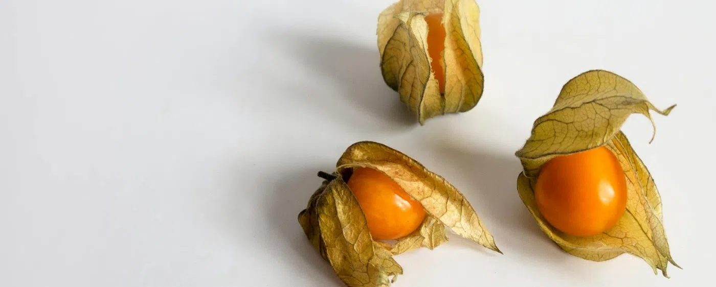 Decorative Ground Cherries for Ground Cherry Upside Down Cake