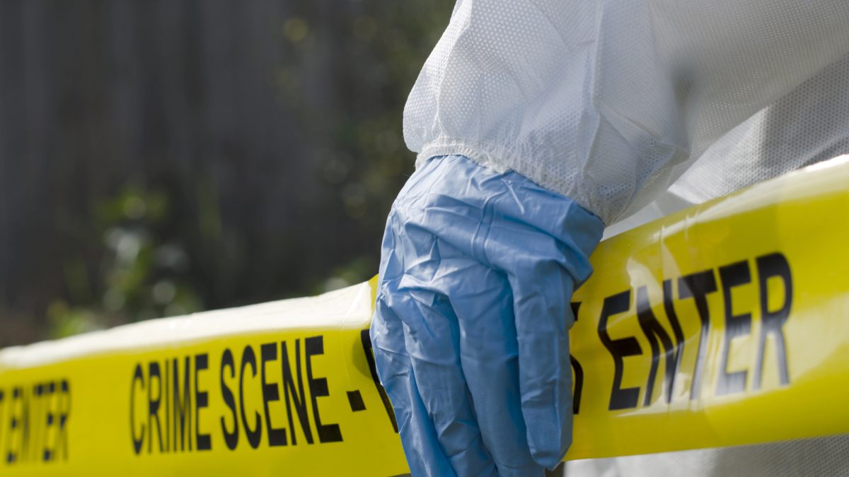 Assault News Image