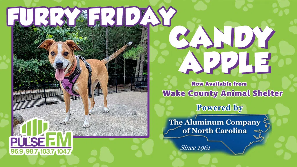 Feature: https://d3748.cms.socastsrm.com/2026/02/13/furry-friday-meet-candy-apple/