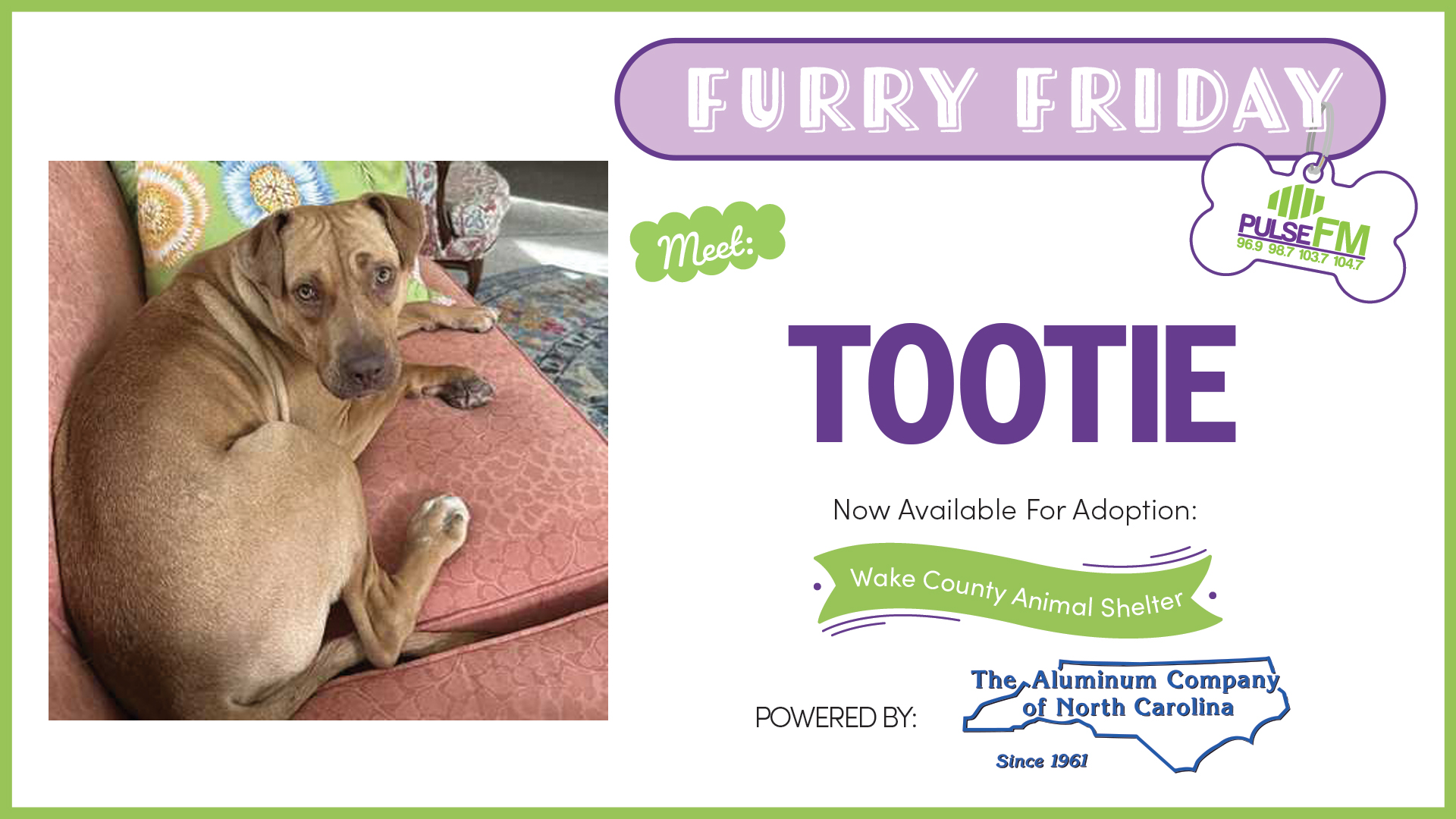 Feature: https://d3748.cms.socastsrm.com/2026/10/02/furry-friday-meet-tootie/