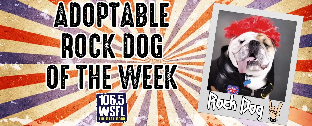 Feature: https://www.wsfl.com/rock-dogs/