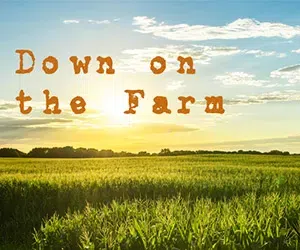 Feature: https://d3761.cms.socastsrm.com/category/podcasts/down-on-the-farm/