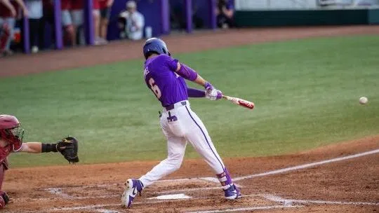 Curiel Purple Big 540360