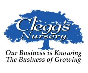 Clegg's